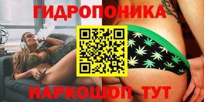 2c-b Будённовск
