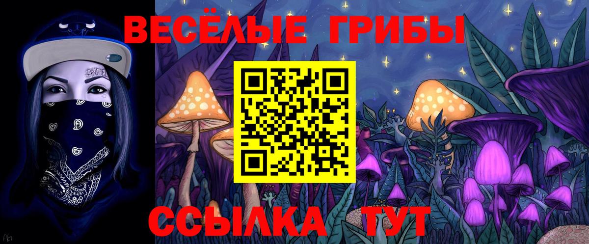 Переславль-Залесский  Галлюциногенные грибы прущие грибы  Вход с VPN  Галлюциногенные грибы ЛСД 
